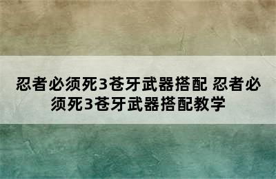 忍者必须死3苍牙武器搭配 忍者必须死3苍牙武器搭配教学